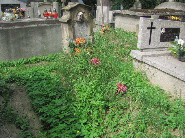 Grób Nikodem Goyski