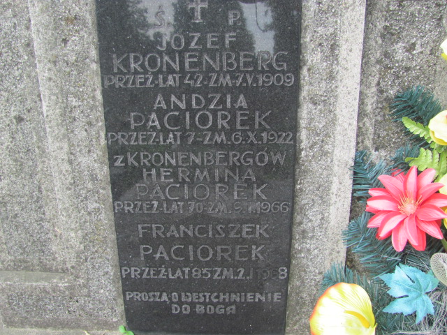 Józef Kronenberg Bochnia - Grobonet - Wyszukiwarka osób pochowanych