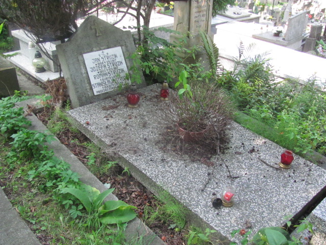 Grób Stanisława Struzik
