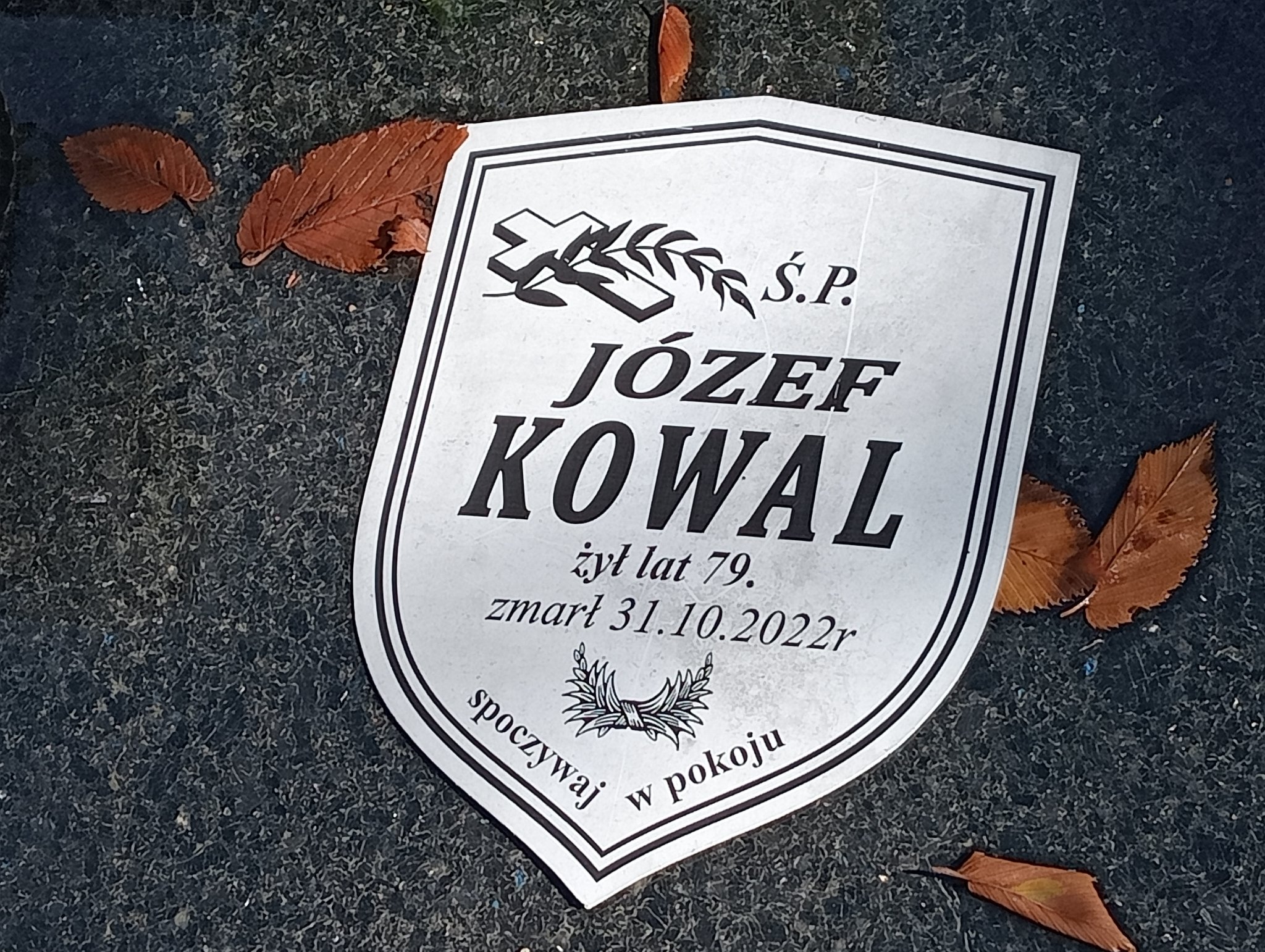 Anna FURMAŃSKA 1913 Bochnia - Grobonet - Wyszukiwarka osób pochowanych