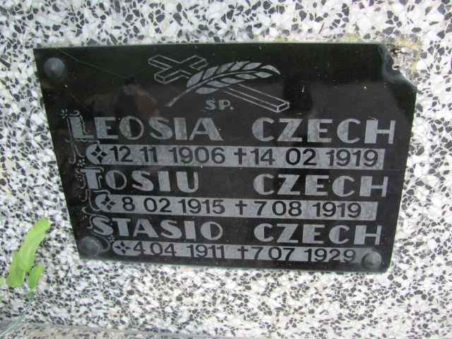 Grób Stanisław Czech