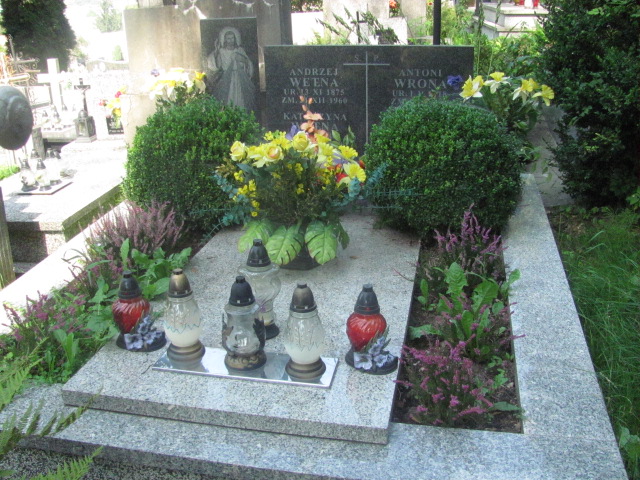 Grób Andrzej Wełna