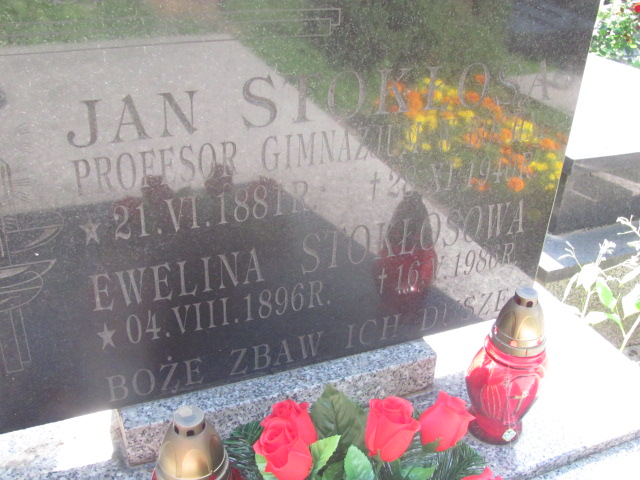 Ewelina STOKŁOSA 1896 Bochnia - Grobonet - Wyszukiwarka osób pochowanych