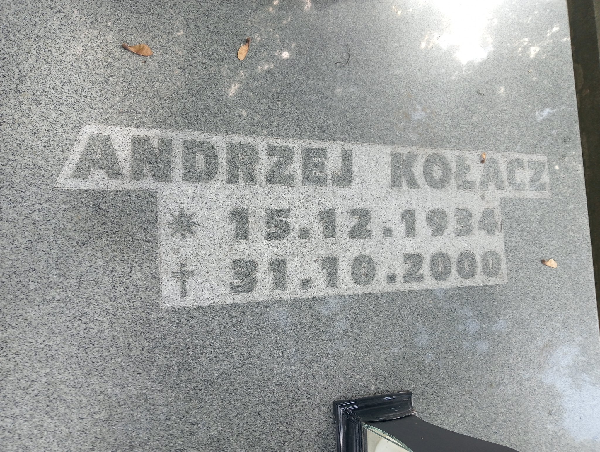  Stachowicz 1911 Bochnia - Grobonet - Wyszukiwarka osób pochowanych
