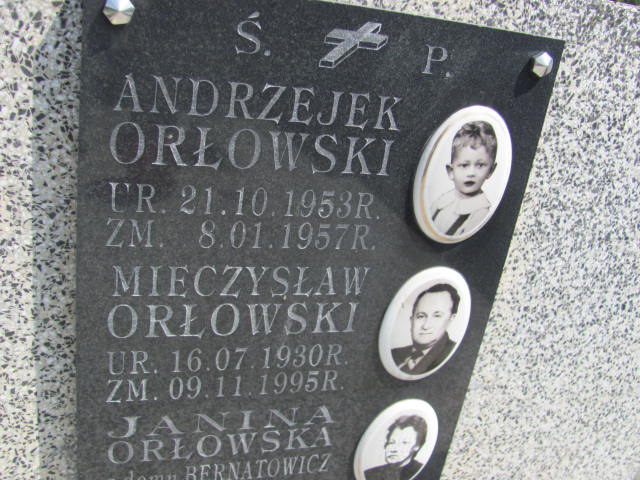 Andrzej ORŁOWSKI 1953 Bochnia - Grobonet - Wyszukiwarka osób pochowanych