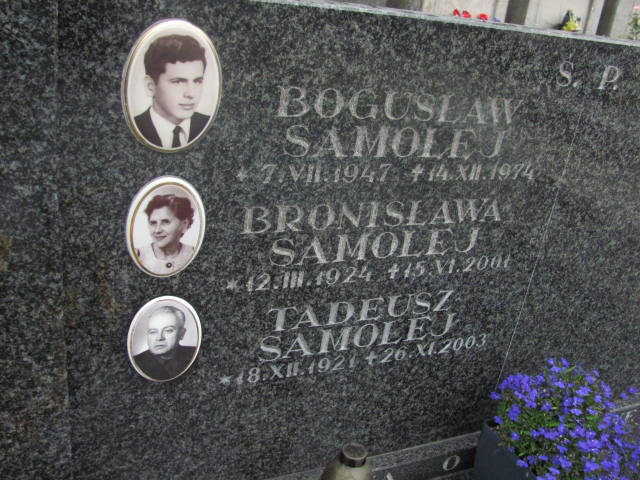 Tadeusz SAMOLEJ 1921 Bochnia - Grobonet - Wyszukiwarka osób pochowanych