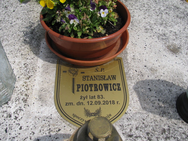 Stanisław Piotrowicz 1935 Bochnia - Grobonet - Wyszukiwarka osób pochowanych