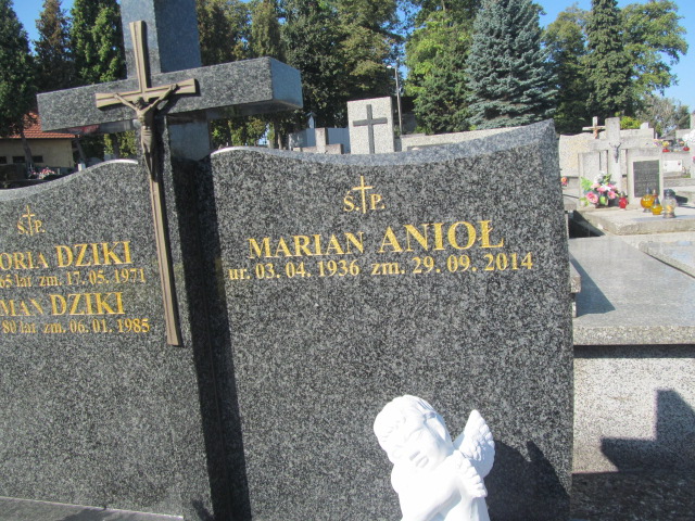 Grób Marian Anioł