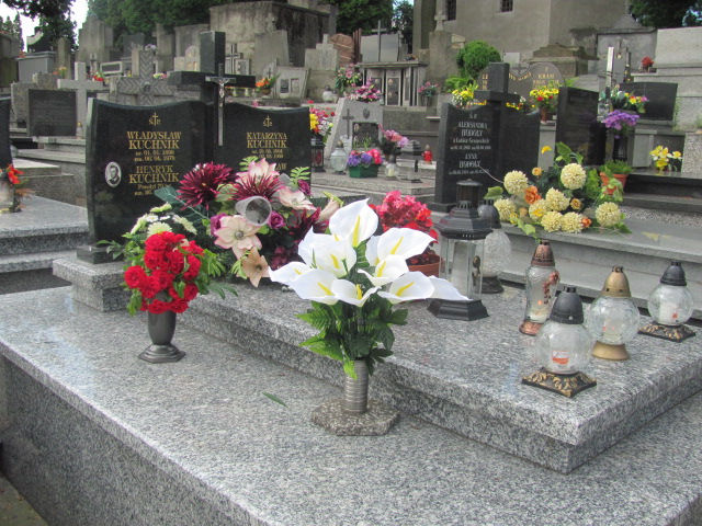 Grób Władysława Gajek