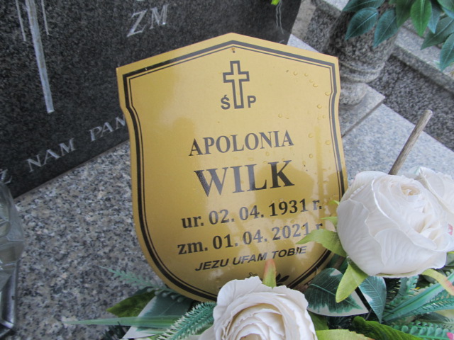 Apolonia WILK 1931 Bochnia - Grobonet - Wyszukiwarka osób pochowanych