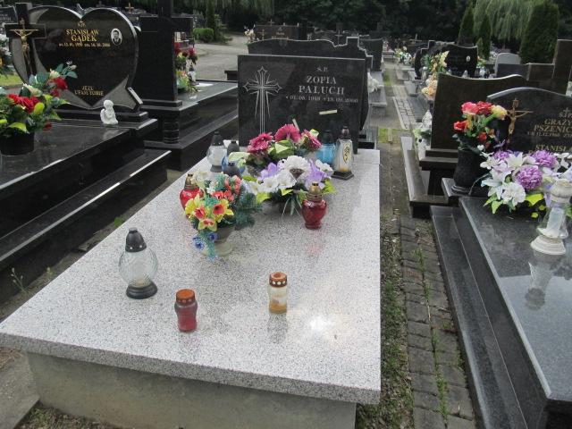 Gabriel PALUCH 2019 Bochnia - Grobonet - Wyszukiwarka osób pochowanych